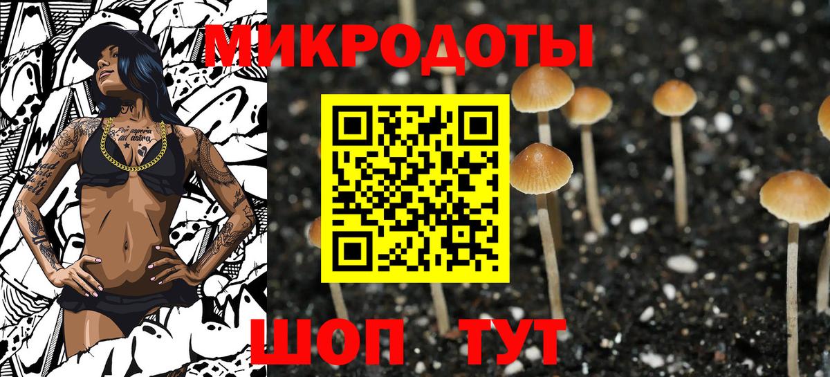 Псилоцибиновые грибы Psilocybe  Вход с VPN  Абинск 