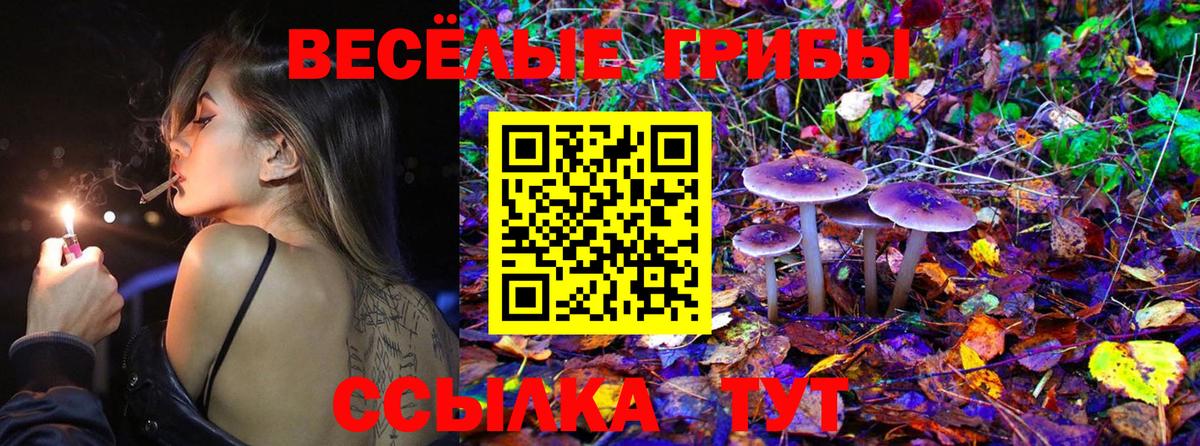 Галлюциногенные грибы Psilocybine cubensis Абинск